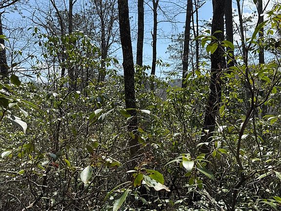 3rd image of 0 Line Runner Ridge Rd