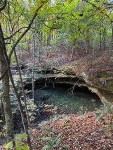 0 County Road 213, Scottown, OH, 45678