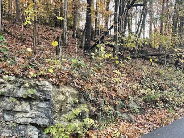 Lloyds Chapel Rd, Church Hill, TN 37642