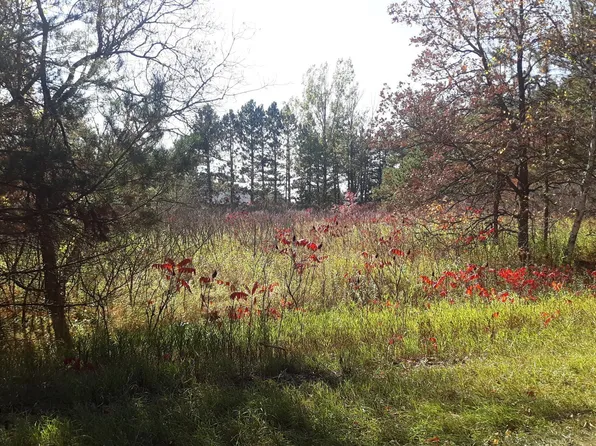 Pequot Dr, Browerville, MN 56438