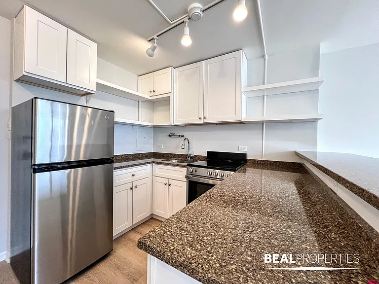 1344 N Dearborn — Photo 32