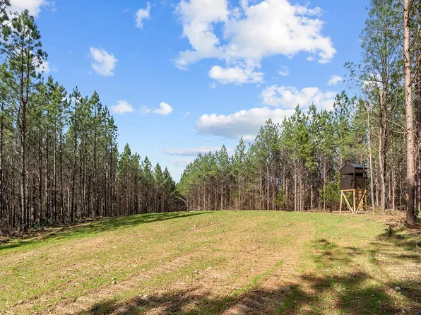 0 Cotton Branch Rd Lot 3, Linden, TN 37096