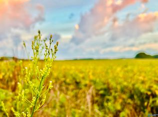 Tower St, Trinity, AL 35673