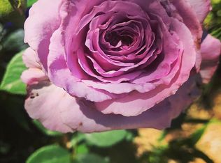 4529 San Pablo Dam Rd, El Sobrante, CA 94803