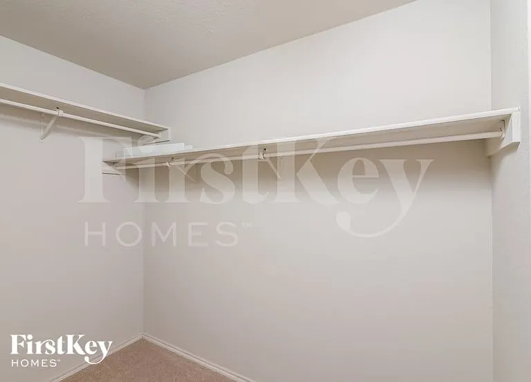 7504 Forest Fern — Photo 10