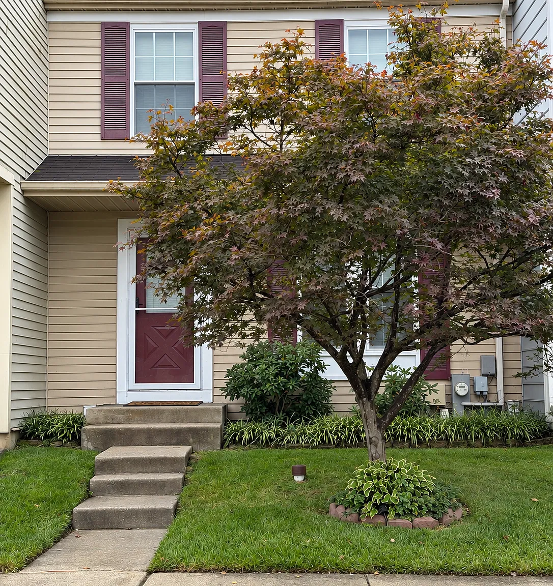3 bed, 1120 sqft, $2,600 — Photo 1