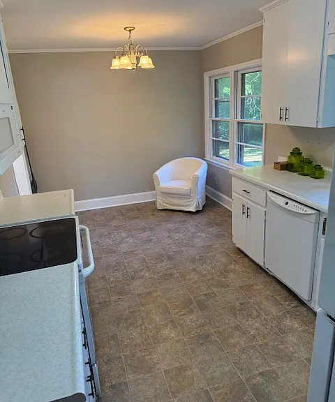 459 Whitehead Rd — Photo 12