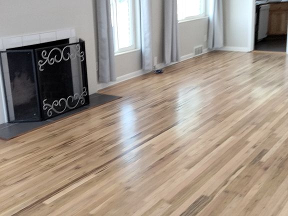 Living room and dining room