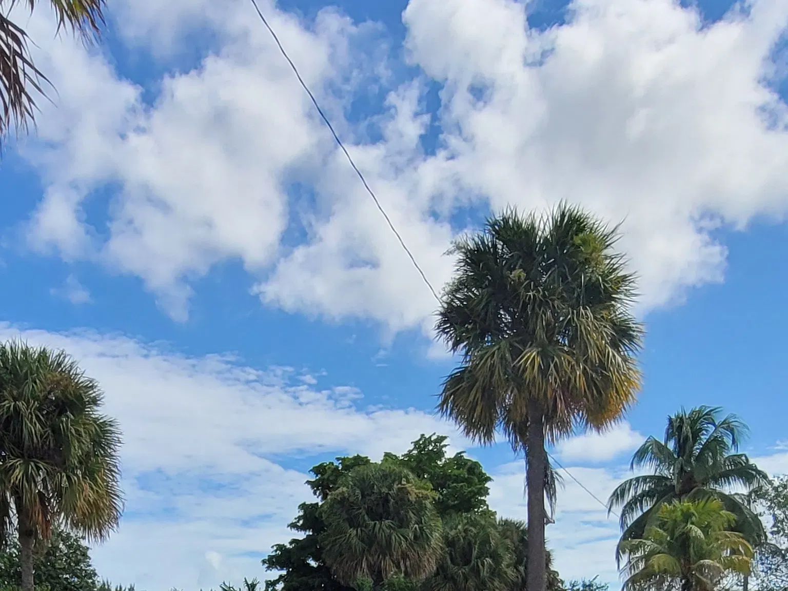 NE 19th Ct, North Miami Beach — Photo 2