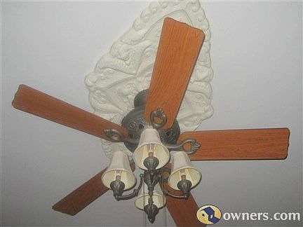 Period details throughout