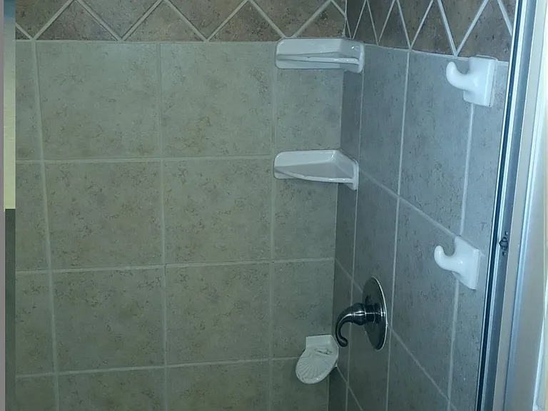Master bath shower