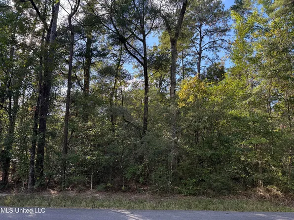 Biloxi Dr Lot 161, Lucedale, MS 39452