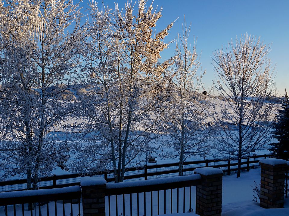 Winter view