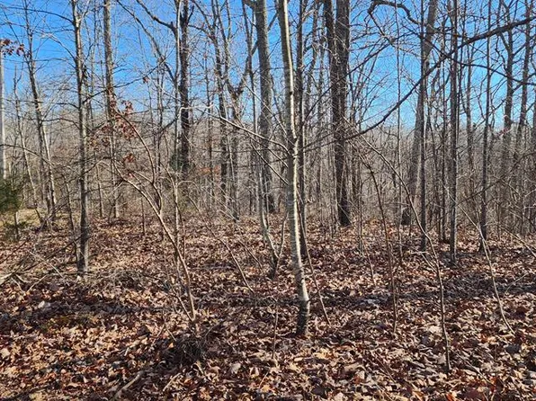 0 Dixie Ln, Holladay, TN 38341