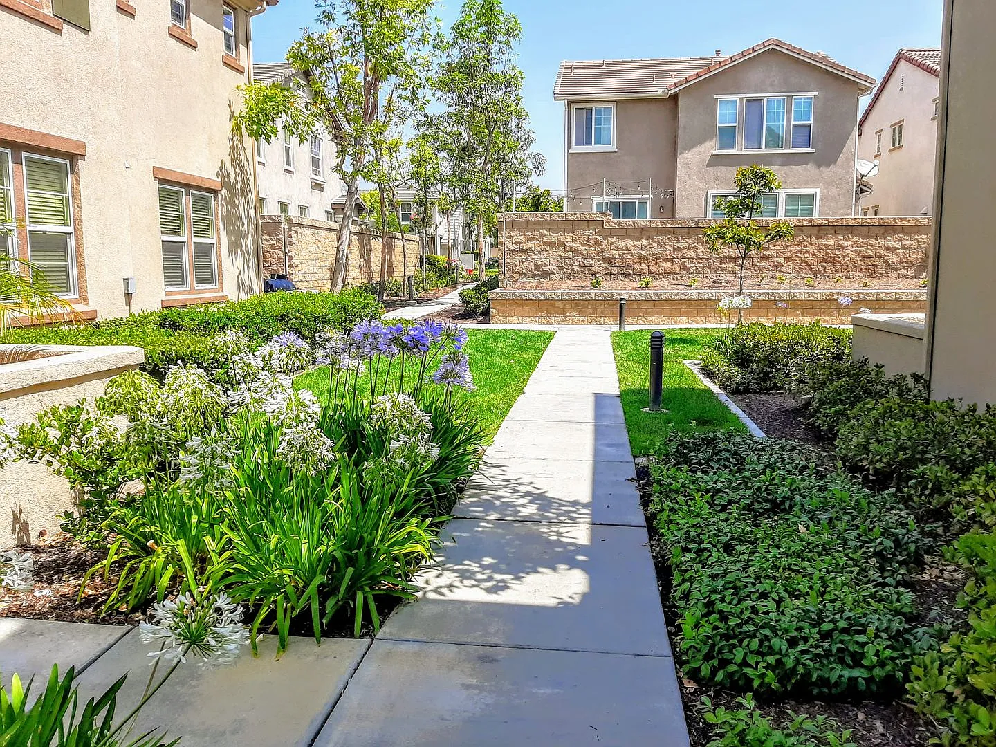 6954 Castor Street Chino 91710 (3 Bed / 3 Bath) — Photo 4