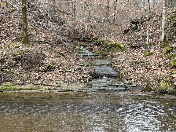 3rd image of 5 N Lick Creek Rd