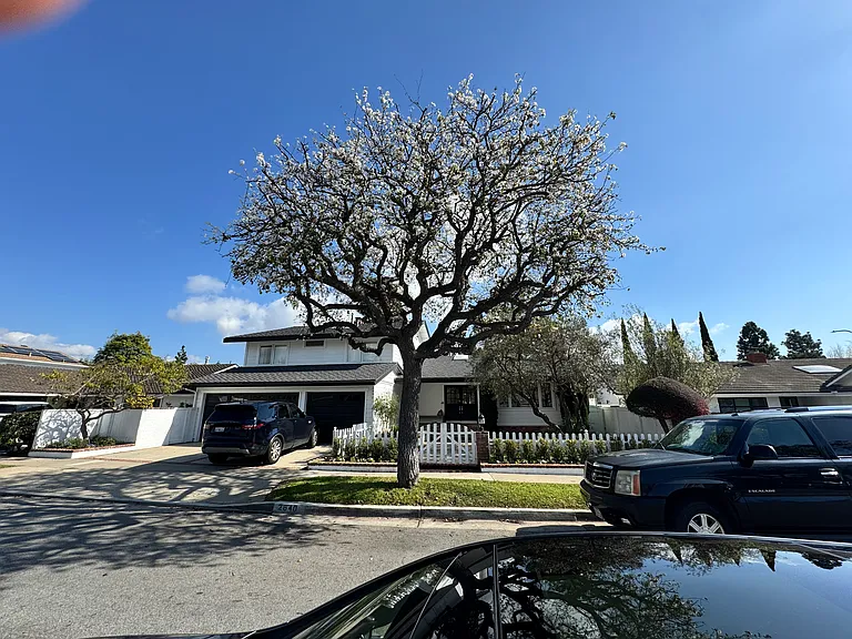 2640 Basswood St — Photo 2