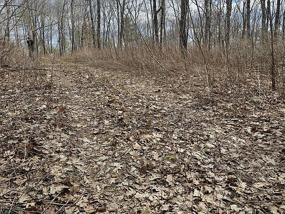 5th image of Lot 113-2 Cushman Road