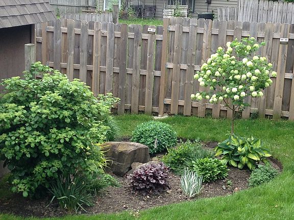 Perennial area in back