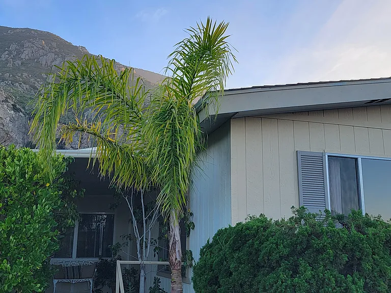 18 Gitana Ave — Photo 8