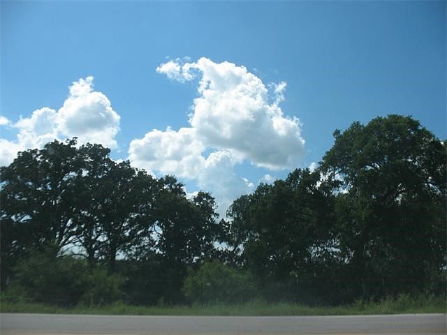Oak groves across Burleson-Manor Rd from entrance