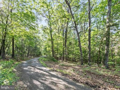 Mountain Laurel Dr, Mount Jackson, VA, 22842