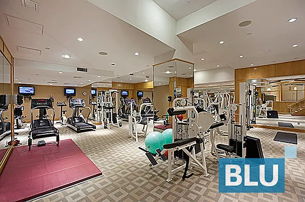 Rented by BLU Real Estate | media 53