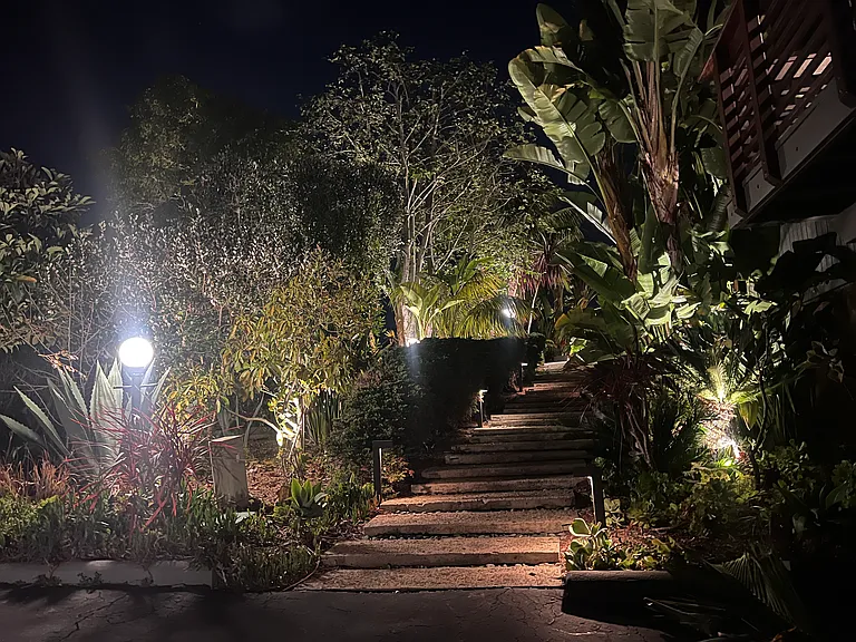 Evening views