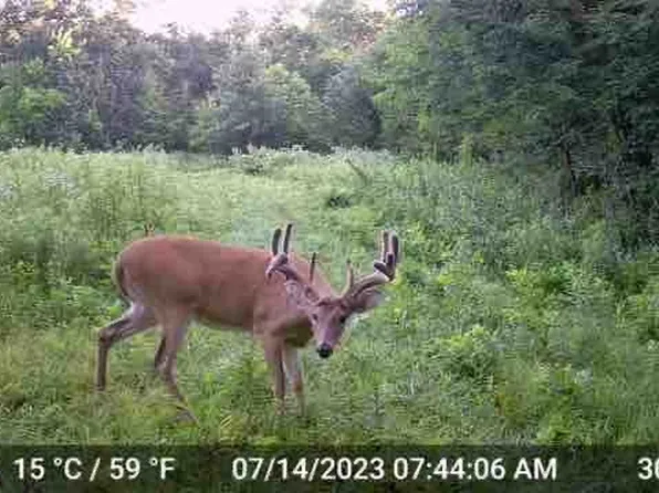 2239 160th Ave, Benton, IA 50835