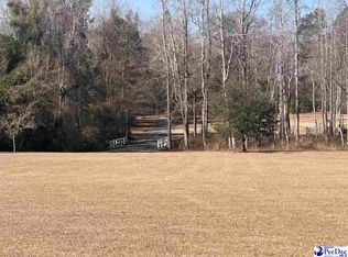 489 Whitney Ln, Johnsonville, SC 29555