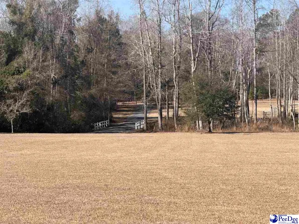 489 Whitney Ln, Johnsonville, SC 29555