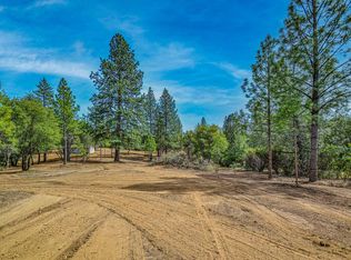 16400 Nina Ln, Fiddletown, CA 95629