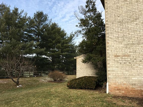 Backyard - mowed by association