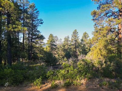 326 Justin's Road, Pagosa Springs CO - Owner Finance Home