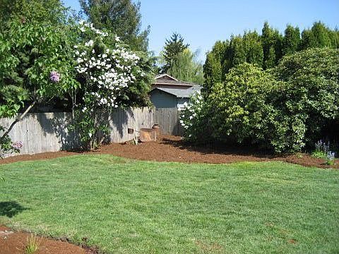 portion of back yard