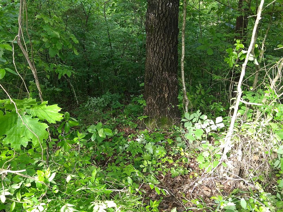 1st image of Honey Ln
