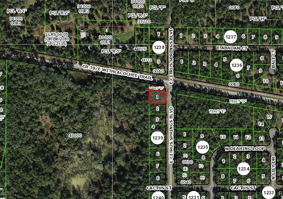 2nd image of 2177 E Citrus Springs Blvd