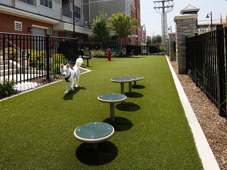 WAG pet park