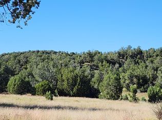 237 N El Gato Dr, Seligman, AZ 86337