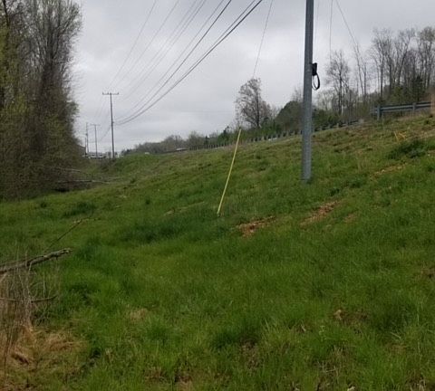 5th image of 683 Highway 79