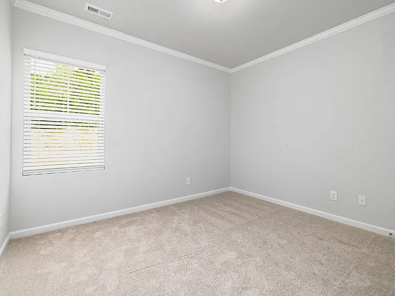 3229 Star Gazing Ln — Photo 21