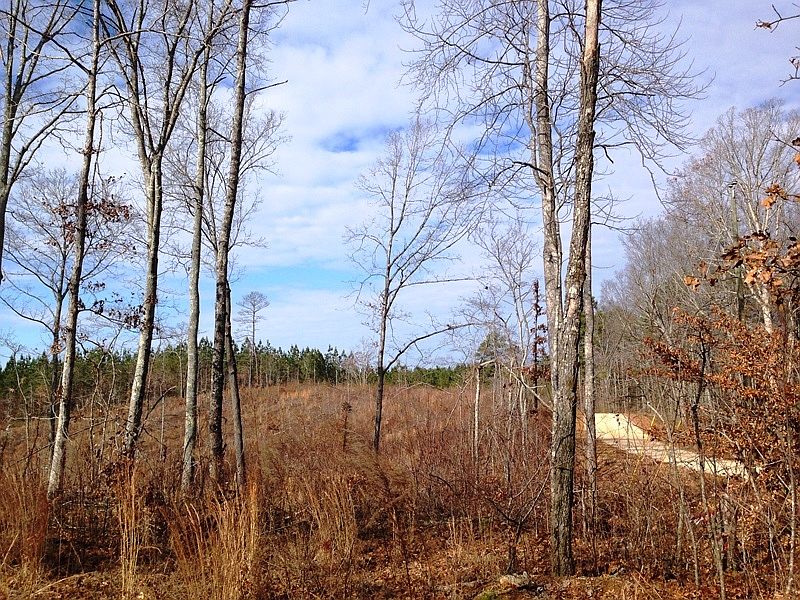 ga recreational land for sale, land for sale georgia