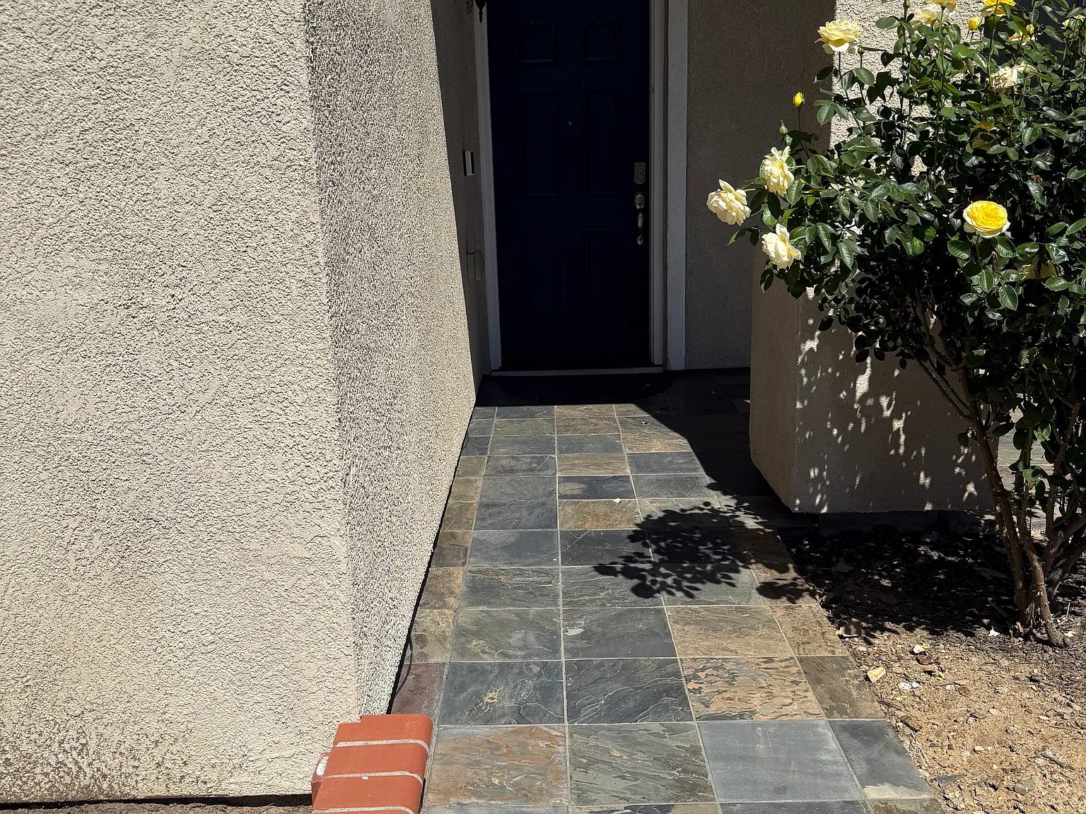 29424 W Camino Ct — Photo 3
