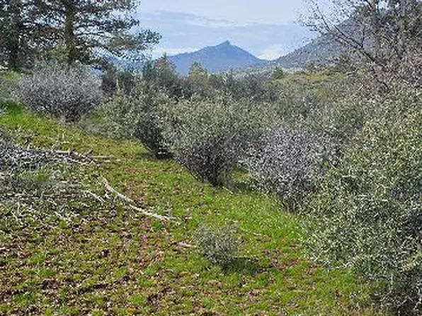 Lark St, Hornbrook, CA 96044