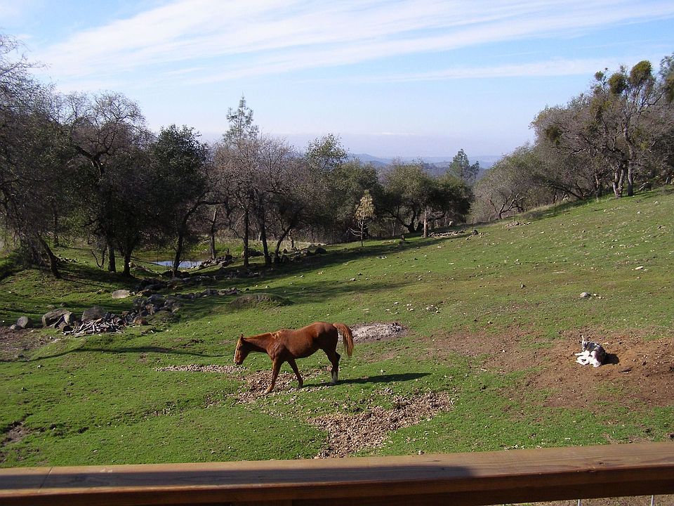 view from back deck