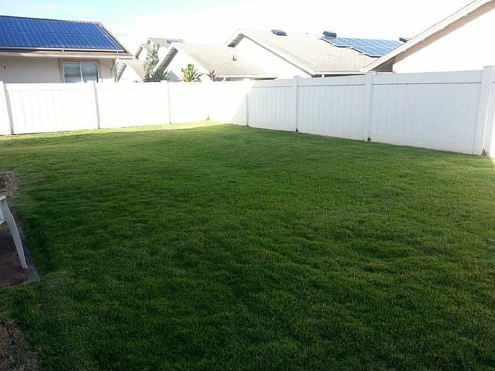 Large level backyard