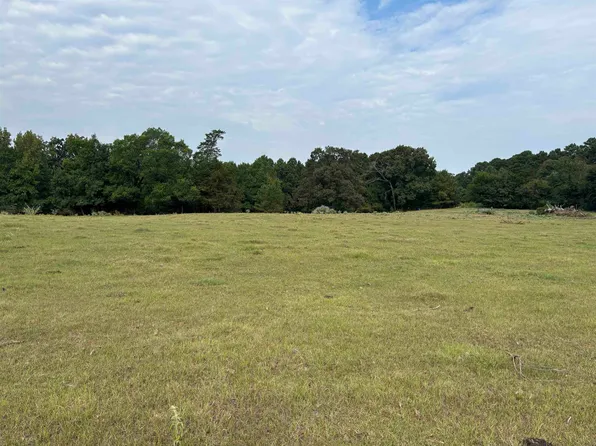 County Road 165, Long Branch, TX 75669