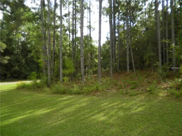 9066 N Akola Way, Citrus Springs, FL 34434