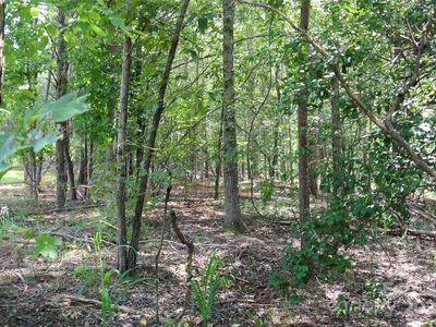 LOT 32 Whispering Pines Cir, Forest City, NC, 28043