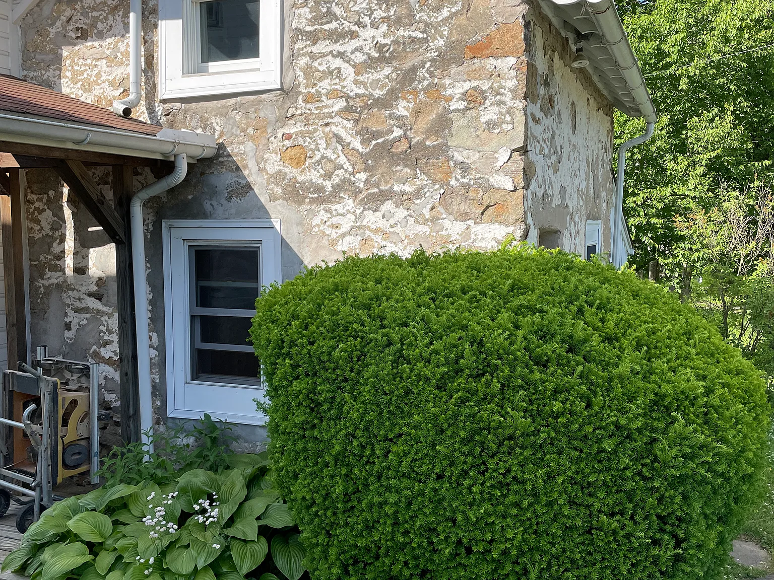 1 bed, 800 sqft, $1,600 — Photo 2